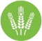 Agriculture in Coimbatore