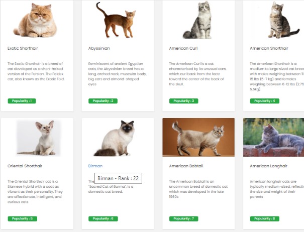 American Cat Breeds Information