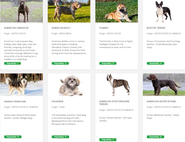 American Dog Breeds Information